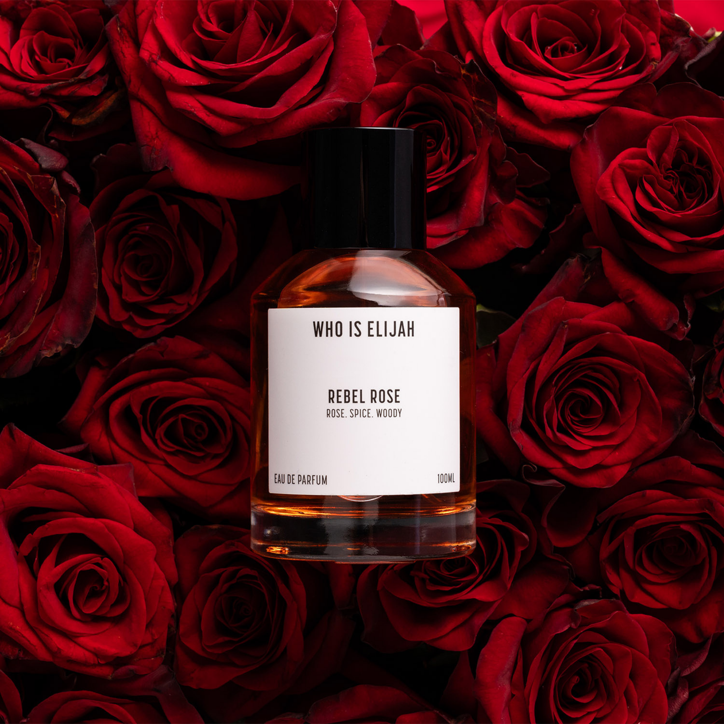 REBEL ROSE - 100ML